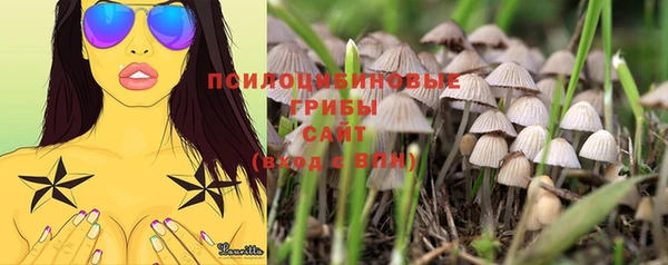 a pvp Балахна